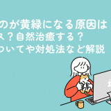 おりものが黄緑になる原因はストレス？自然治癒する？病気についてや対処法など解説