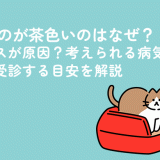 おりものが茶色いのはなぜ？ストレスが原因？考えられる病気や病院を受診する目安を解説