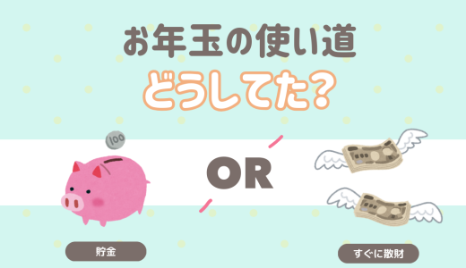 お年玉の使い道どうしてた？