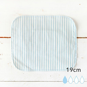 地球洗い隊 プレーンプチ