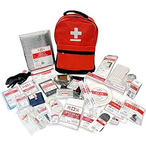 防災バッグ 30点 セット 防災士監修 山善