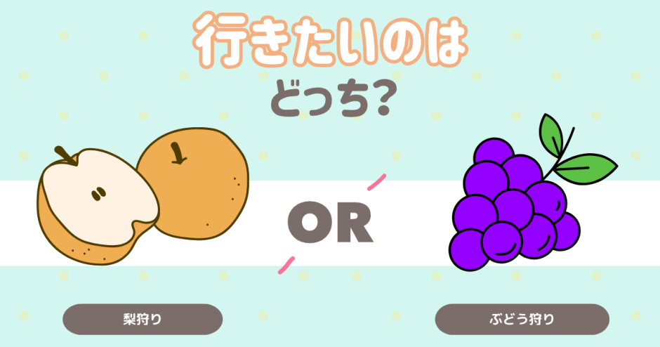 行きたいのはどっち？