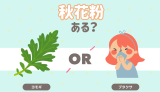 秋花粉ある？
