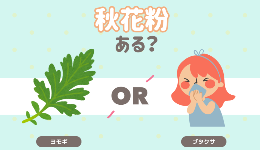 秋花粉ある？