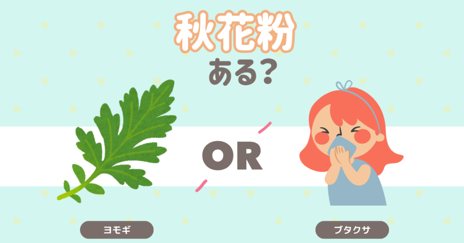 秋花粉ある？